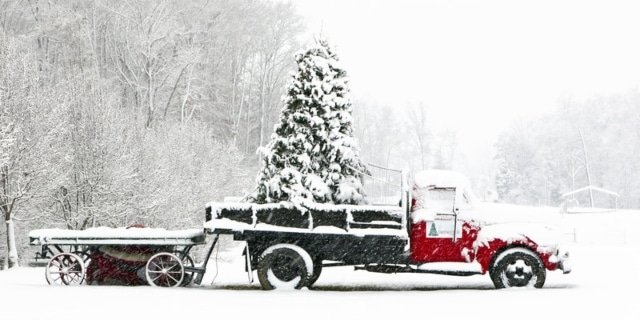 Christmas-Blog-Graphic-640x320 (1)